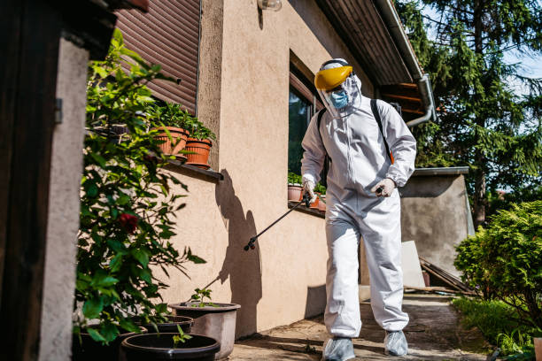 Best Pest Control Treatment  in Roseland, NJ